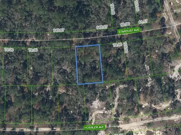 365 Stardust Ave, Lake Placid, FL 33852