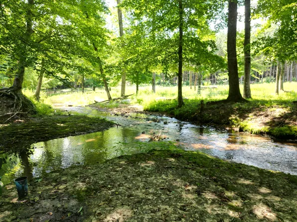 422 Golden View Ln, Hampshire, TN 38461