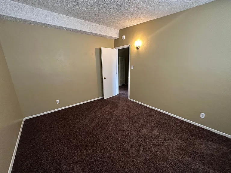 316 Palm Dr — Photo 9