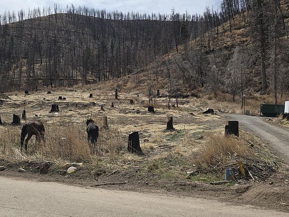 3rd image of 1133 Main Rd