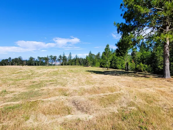 34080 Mount Tom Dr #1, Harrisburg, OR 97446