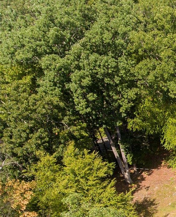 1st image of 1 Arden Dr