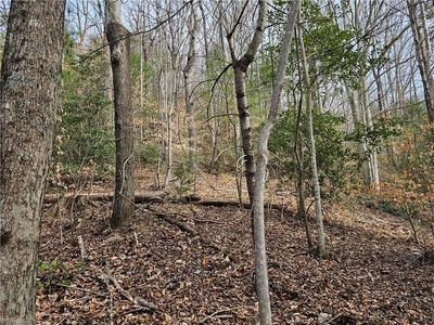 Larkins Little Mountain Rd, Boomer, NC, 28606