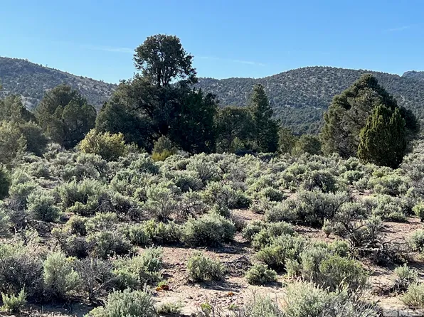 Pine Nut, Gardnerville, NV 89410