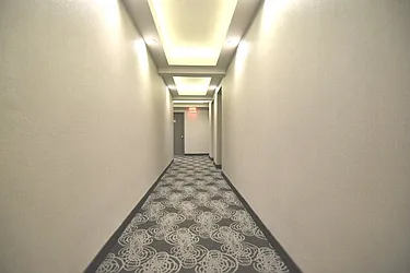 Rented by Bold New York