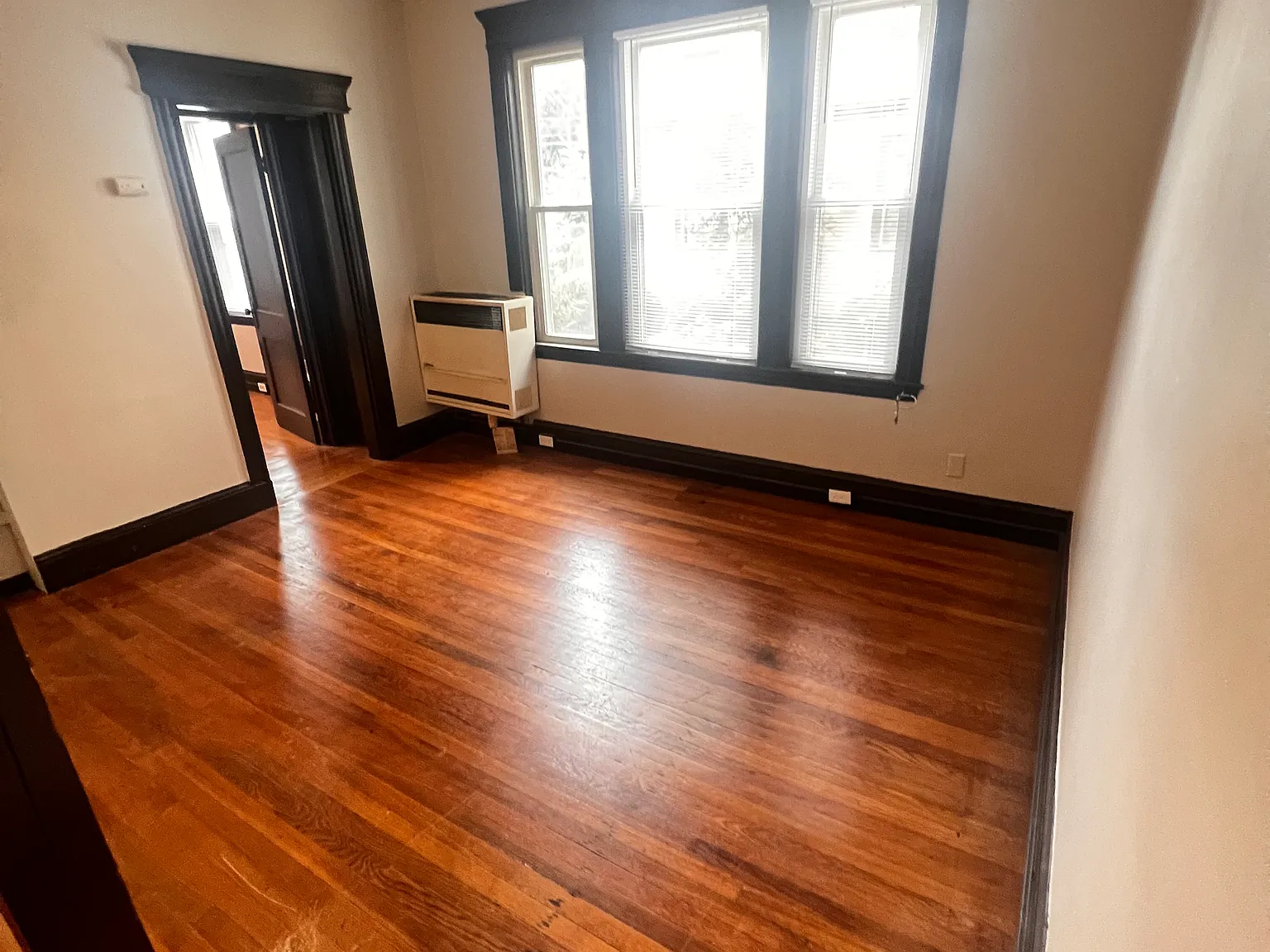 1 bed, $1,575 — Photo 2