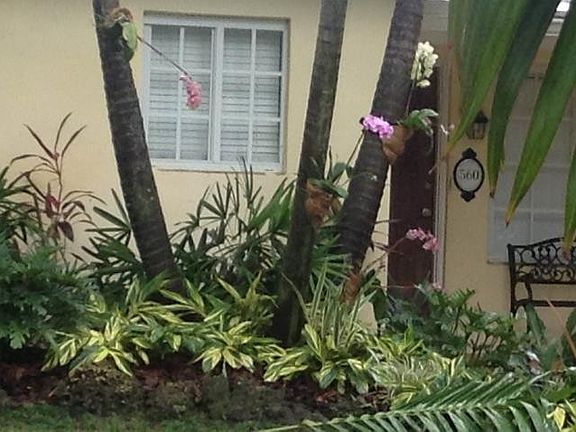 5th image of 560 NE 93rd St