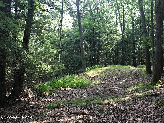 5th image of Turkey Ridge Dr #12