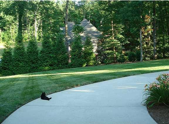 5th image of 1322 Emerald Pointe Dr