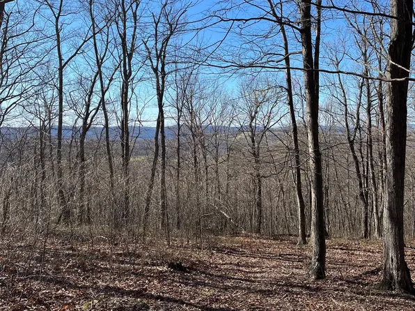 Bear Ridge Rd, Yellow Spring, WV 26865