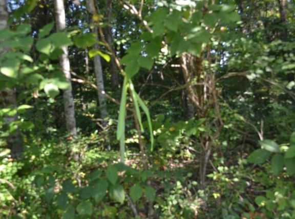 2nd image of 3 Rock Springs Rd