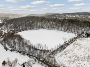 0 County Road 19, Deposit, NY 13754