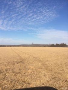 1 Spicer Rd, Bismarck, MO, 63624