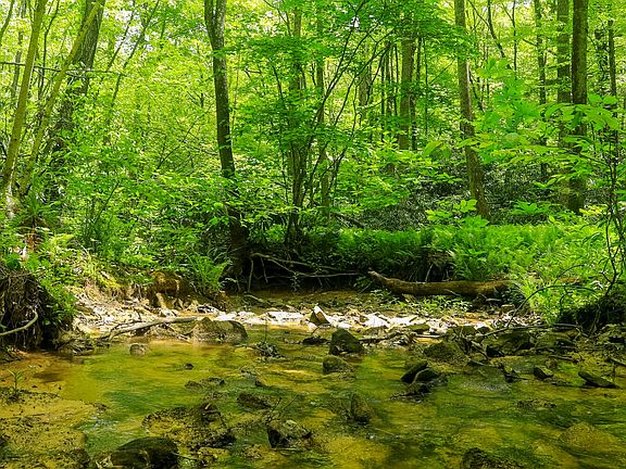 4th image of 0 Short Mountain Rd