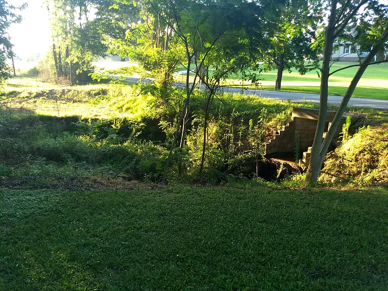 Nursery Ln — Photo 18