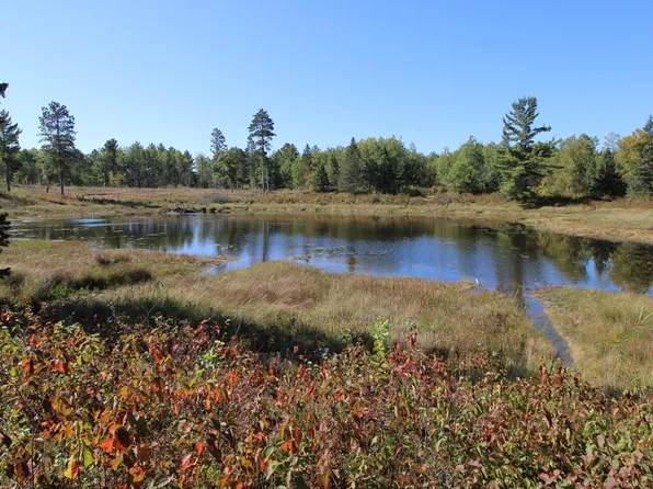 Tbd County Road 136, Fifty Lakes, MN 56448