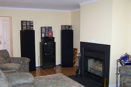 woodburning fireplace