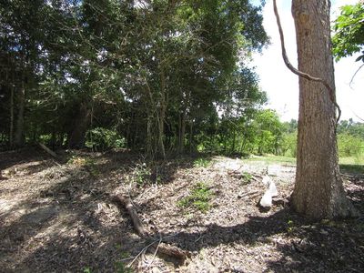 0 Eudon Best Rd, Ashford, AL, 36312