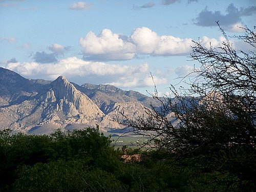 from rear patio looking east