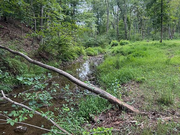 5th image of 80 Lambs Gap Rd