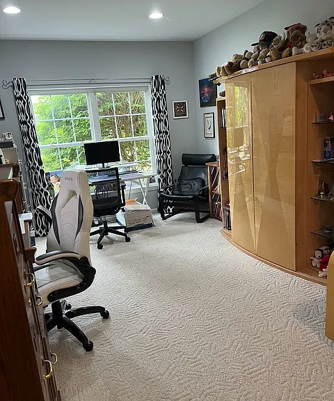Lower Level Bedroom