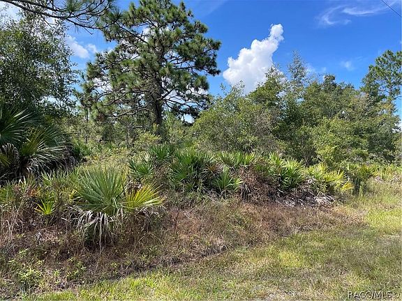 3rd image of 11398 W Gilia Ln