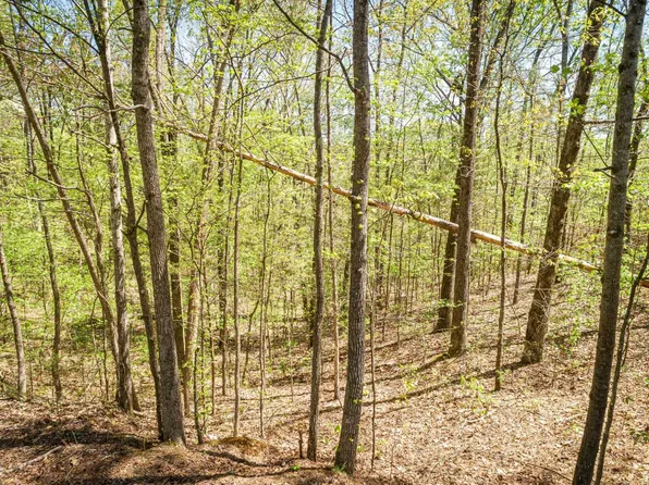 172 & 165 Fawn Ridge Rd, Parsons, TN 38363