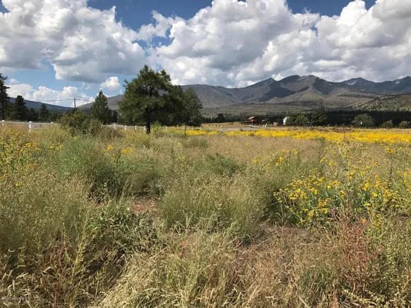 5675 E Girls Ranch Rd, Flagstaff, AZ 86004