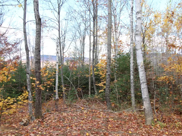 01 Center Hill Road, Weld, ME 04285