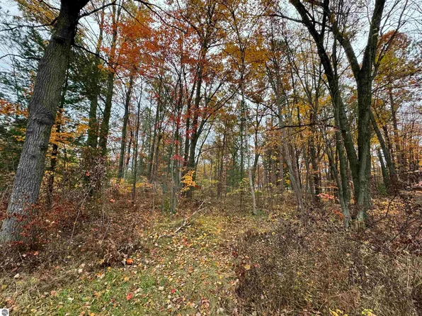0 Beals Dr, Prescott, MI 48756