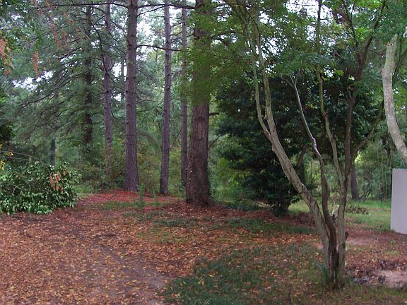 Lovely homesite