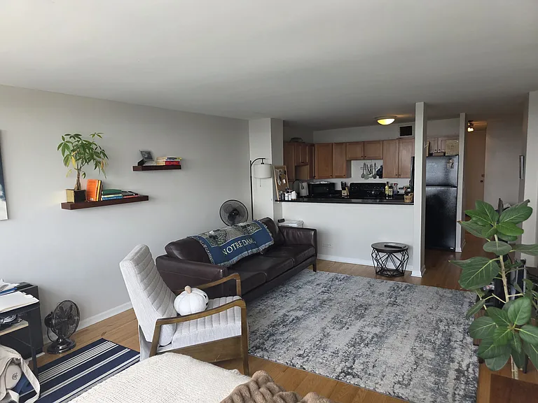 1636 N Wells St #3004 — Photo 11