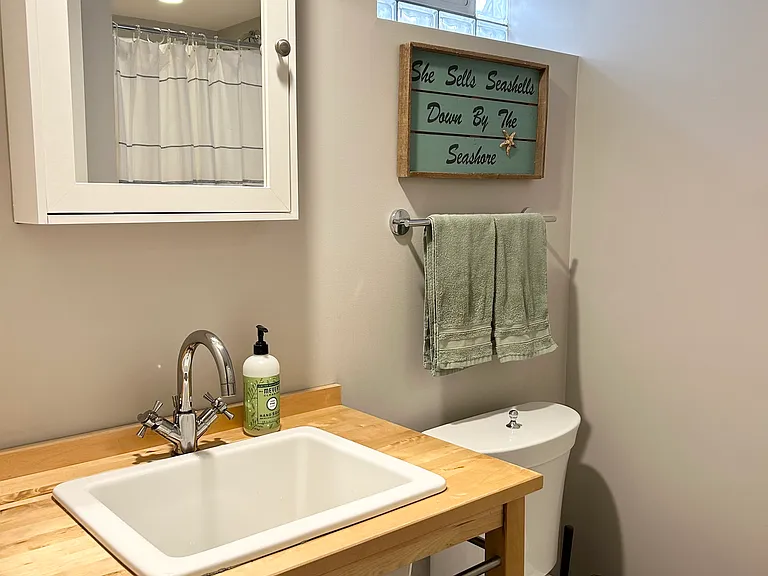Lower level bathroom with walk-in shower.