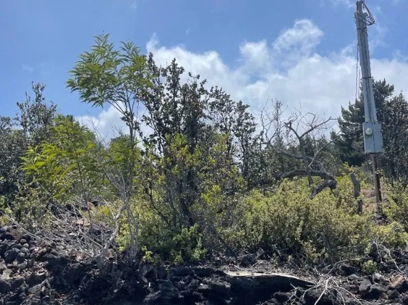 Plumeria Ln Lot 15, Captain Cook, HI 96704