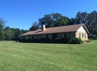 1339 Henchee Ln, Valrico, FL 33596