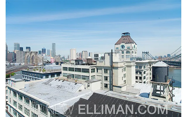 Rented by Douglas Elliman | media 15