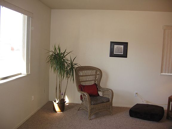 Sunny Living Room