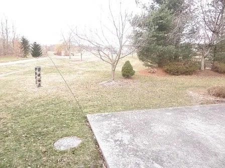 Large Beautiful Backyard