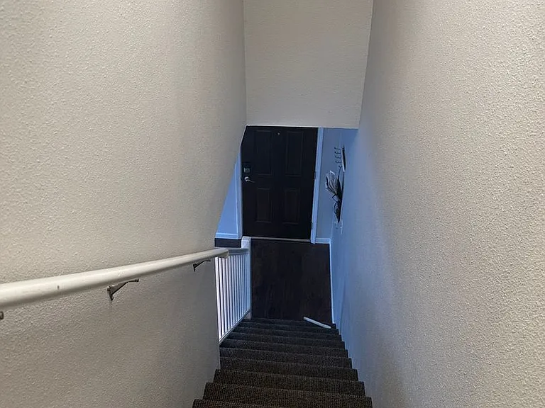 1295 Elegante Ln — Photo 23
