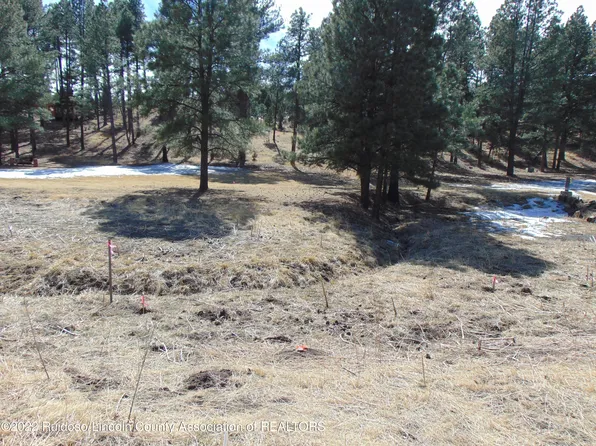 0 Gray Fox Ln, Alto, NM 88312