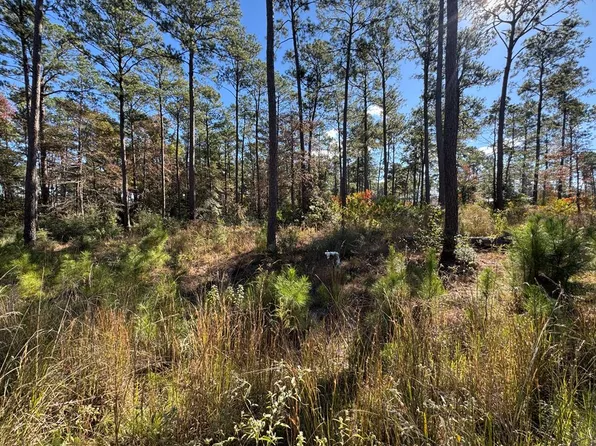 LOT 54 Private Road 6028, Brookeland, TX 75931