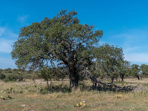 Affordable Land For Sale in Comanche County with Owner Financing Available