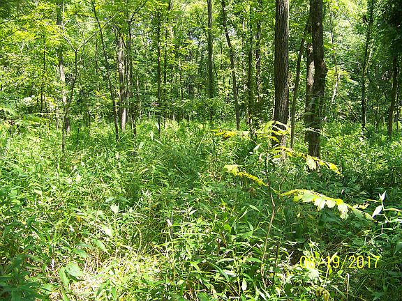 4th image of 12619 Township Hwy 106 #10