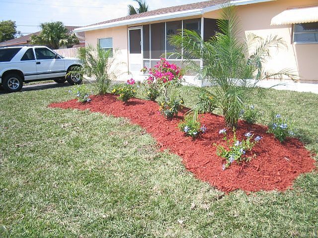 Angle Picture of Front Yard