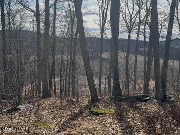Lots 77 78 Scenicview Dr, Dallas, PA 18612