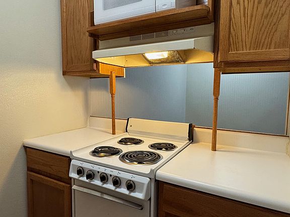 4th image of 1007 E Park St #10