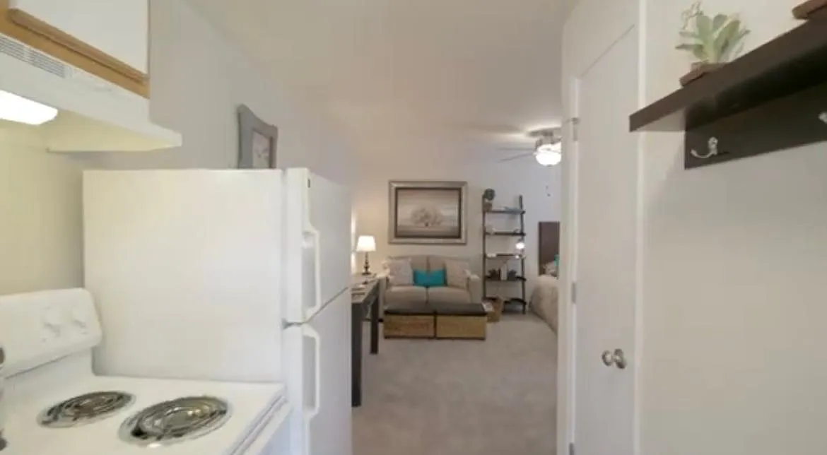 Studio, 390 sqft, $800 — Photo 2