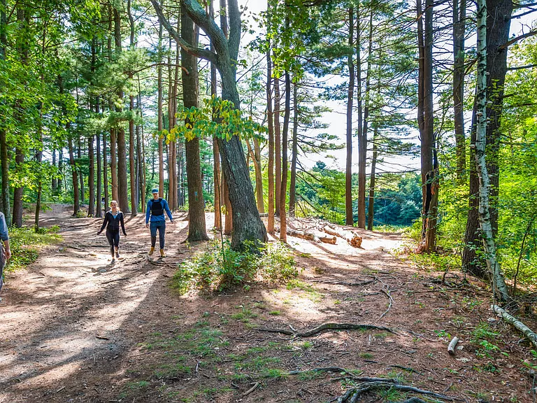 Go for a hike and enjoy the outdoors at the Blue Hill Reservation.