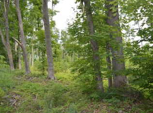 E Sparling Rd, Kingsley, MI 49649