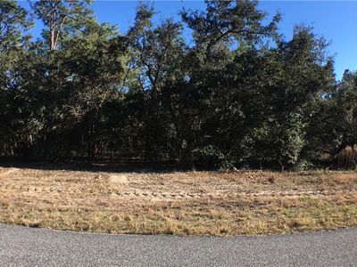 7221 N Ireland Dr, Citrus Springs, FL, 34434